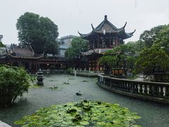 -碧江金楼