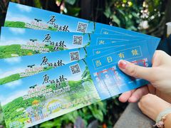 -西双版纳原始森林公园