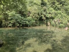 -黄山翡翠谷景区