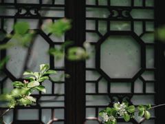 -莫愁湖公园