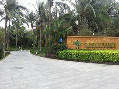 android_upload_pic-三亚亚龙湾红树林度假酒店