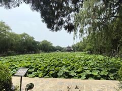 -莲池书院博物馆