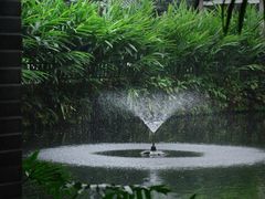 -广州兰圃