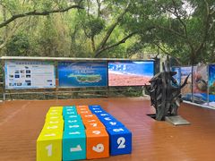 -广东惠东海龟国家级自然保护区