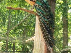 -南京金牛湖风景区