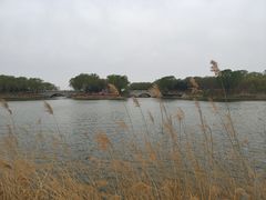 -大兴滨河森林公园