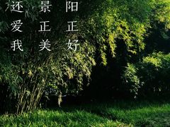 -日出青木
