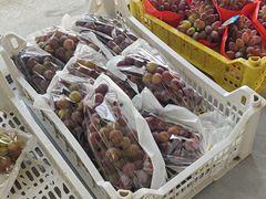 -马陆小张葡萄园农家乐