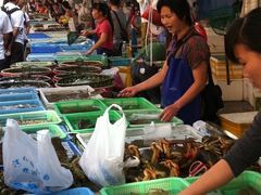 -澳门环岛游湾仔码头