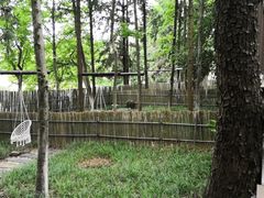 -象山森林公园