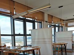 -枣子树·素食餐厅(朱家尖店)