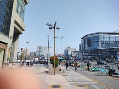 -魏家凉皮(大差市店)