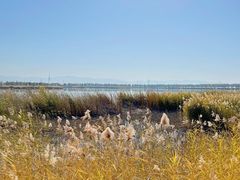 -野鸭湖国家湿地公园