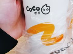 -CoCo都可(漫乐城店)