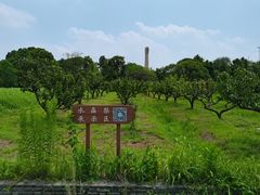 -广富林郊野公园