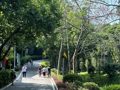 -火炉山森林公园