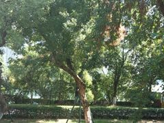 -橘洲1910花园江景西餐厅