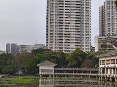 -荔湾湖公园