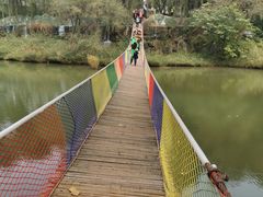 -东方巨龟苑景区