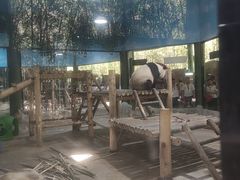 -栾川竹海野生动物园