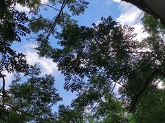 -番禺大夫山森林公园