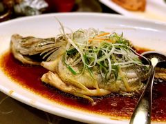 清蒸鳜鱼-乾隆美食·本帮菜(黄河路店)