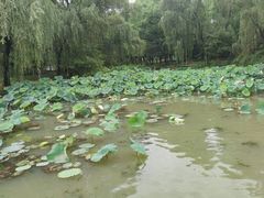 -柯岩风景区