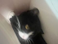 -瑞鹏宠物医院·骨科·猫科·内科(第一中心)