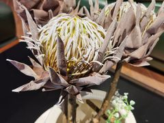 -红星美凯龙(柯桥店)