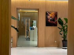 -XPEL旗舰店·汽车贴膜·隐形车衣·改色贴膜