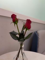 -韩辰医疗美容医院