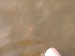 -碧海金沙
