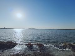 -天津东丽湖风景区