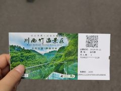 -川西竹海景区