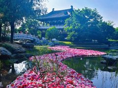 -洛阳白马寺