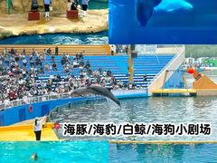 -秦皇岛乐岛海洋王国