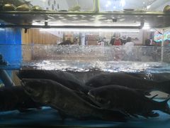 -浔味·山屿湖·正宗淳牌全鱼宴老字号