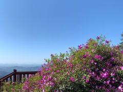 -广州市石门国家森林公园