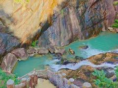 -广州白江湖森林公园