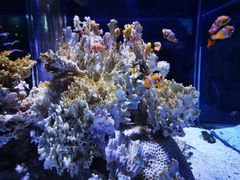 -乌鲁木齐海洋馆