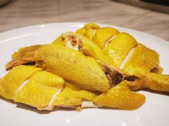 白切湛江鸡-隆聚·时令海鲜(洪兴店)