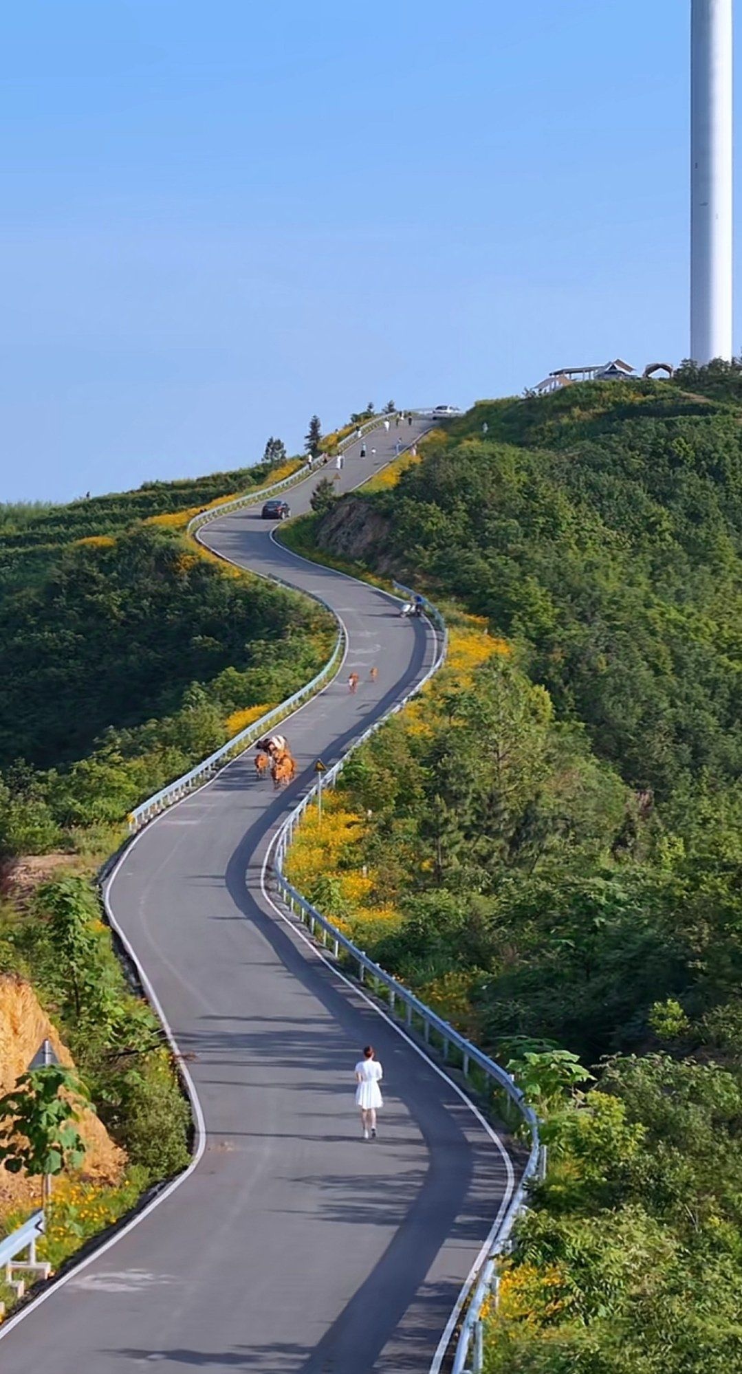 邵东芭蕉山