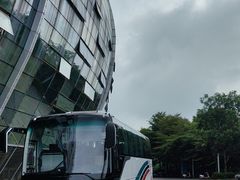 -广西体育中心-游泳馆