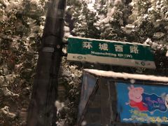 -绍兴启迪乔波冰雪世界