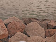 -深圳湾公园(南山区)