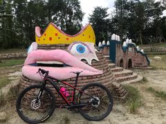 -白鹭湾湿地公园