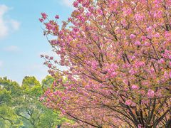 -杭州植物园