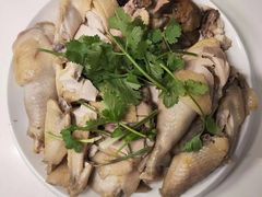 -天鹅到家·保姆月嫂育儿嫂(蔚蓝海岸店)