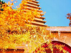 -沉浸北京·团建旅行·密室剧本杀·年会会议轰趴拓展