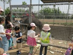 -励步儿童成长中心英文启蒙·剑桥考级·KET(万象汇校区)